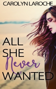 cover-all-she-never-wanted-by-c-laroche